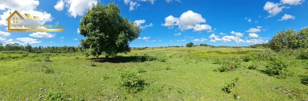 Fazenda, 126 hectares - Foto 2