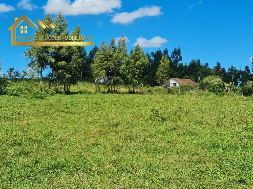 Fazenda, 126 hectares - Foto 24