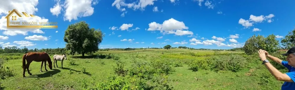 Fazenda, 126 hectares - Foto 4