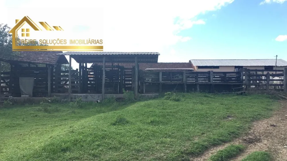 Fazenda, 126 hectares - Foto 49