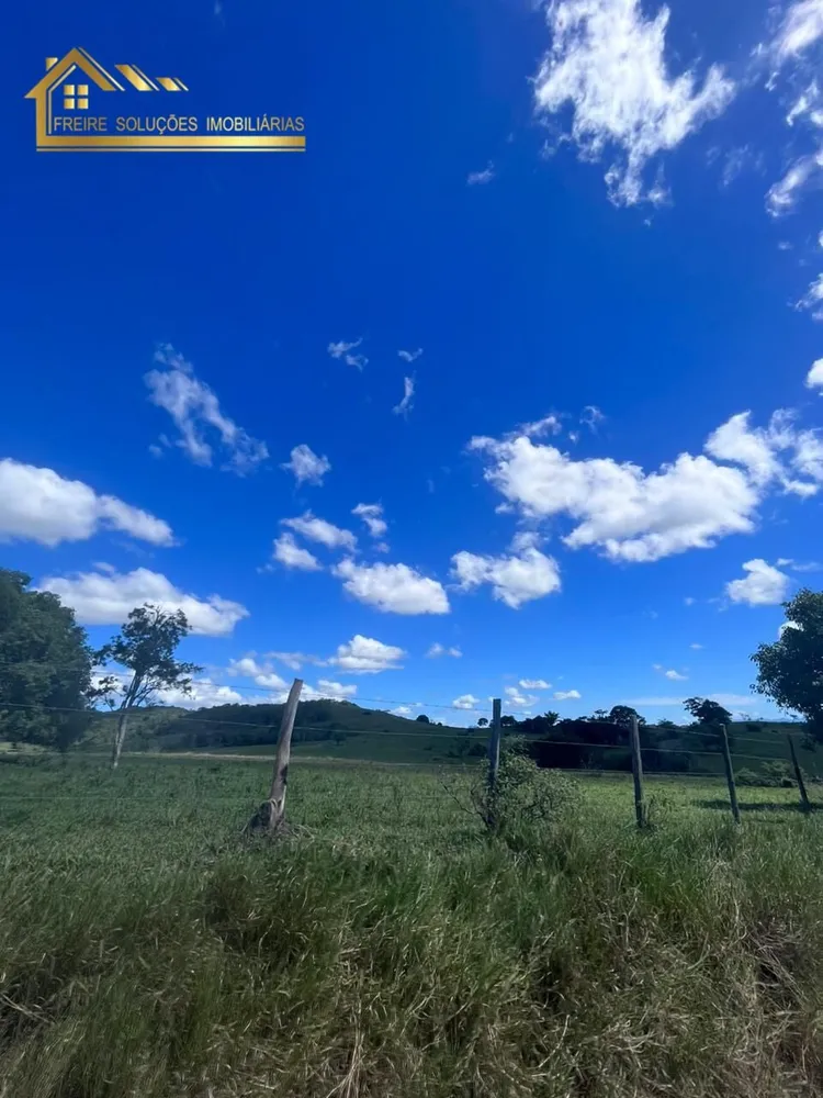 Fazenda, 126 hectares - Foto 46