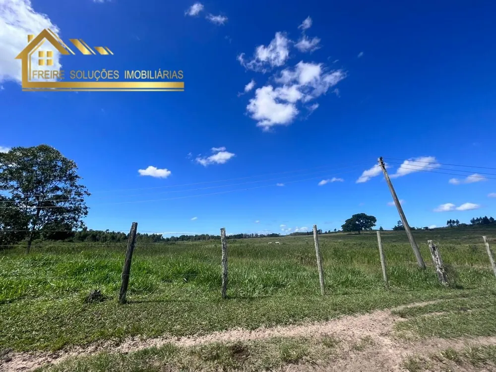 Fazenda, 126 hectares - Foto 38
