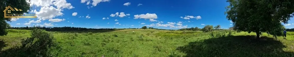 Fazenda, 126 hectares - Foto 16