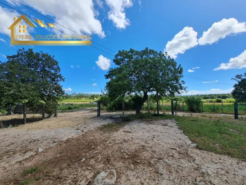 Fazenda, 126 hectares - Foto 13