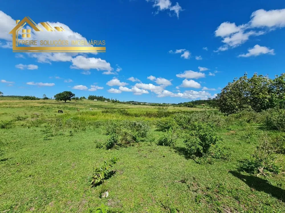 Fazenda, 126 hectares - Foto 15