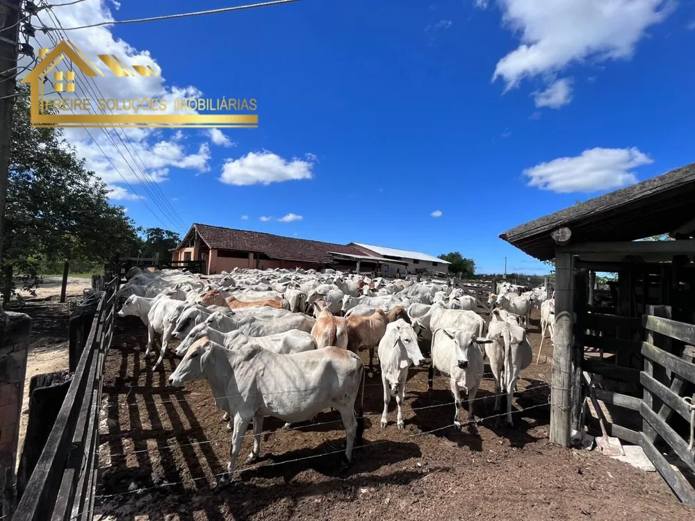 Fazenda, 126 hectares - Foto 30