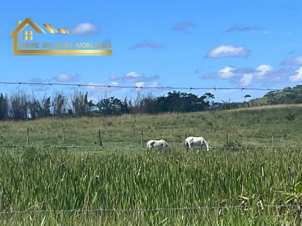 Fazenda, 126 hectares - Foto 39