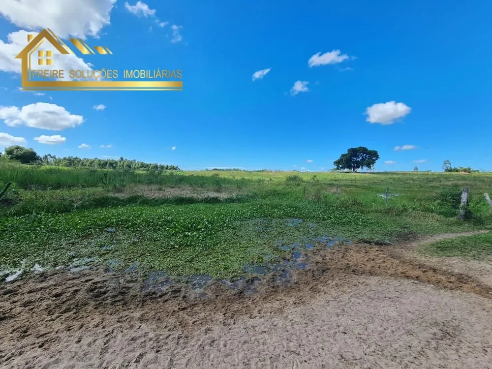 Fazenda, 126 hectares - Foto 8