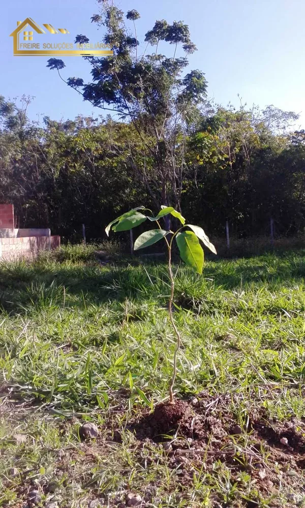 Terreno, 180 m² - Foto 8