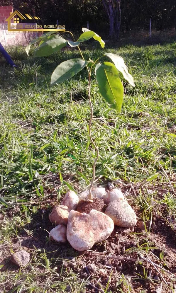 Terreno, 180 m² - Foto 7