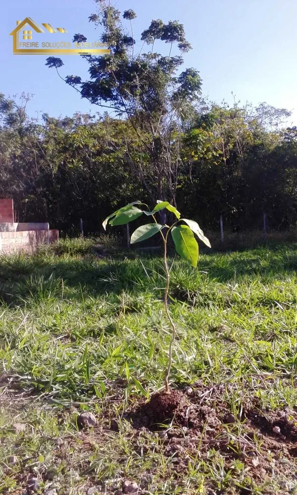 Terreno, 180 m² - Foto 15