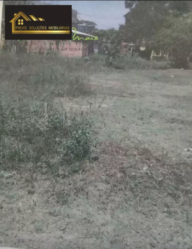 Terreno, 10000 m² - Foto 4