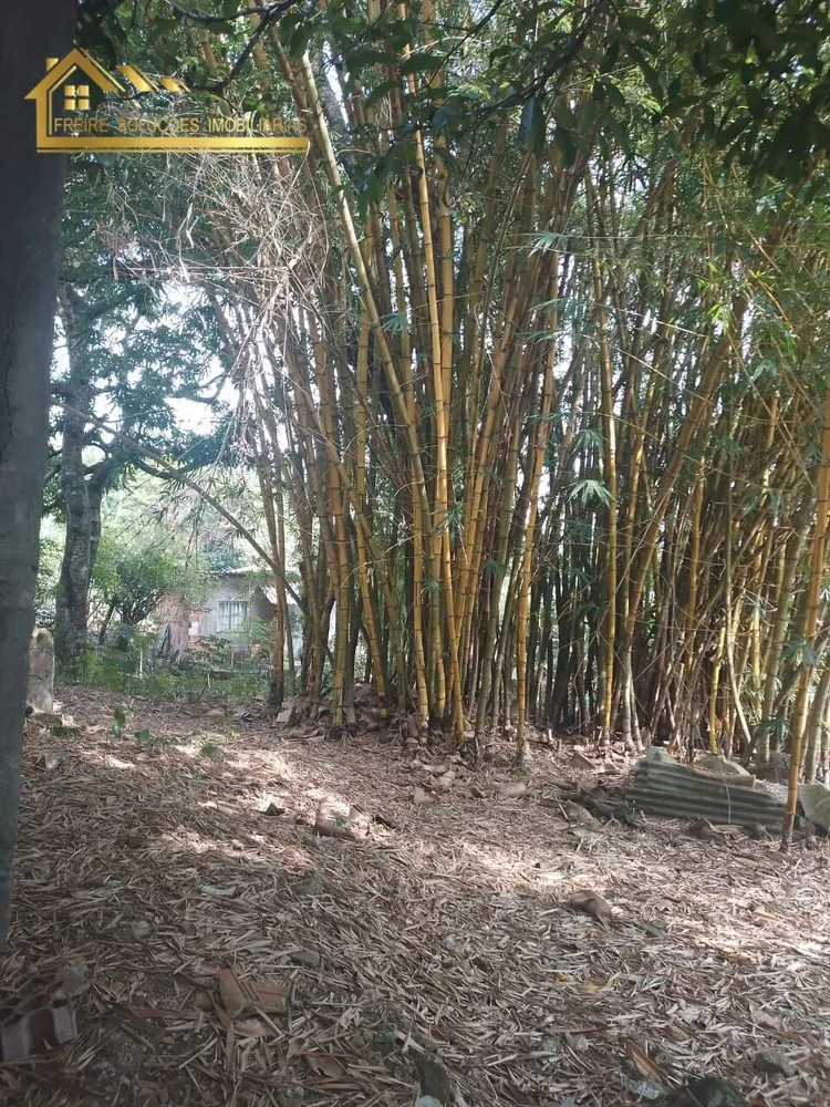 Terreno, 5000 m² - Foto 8