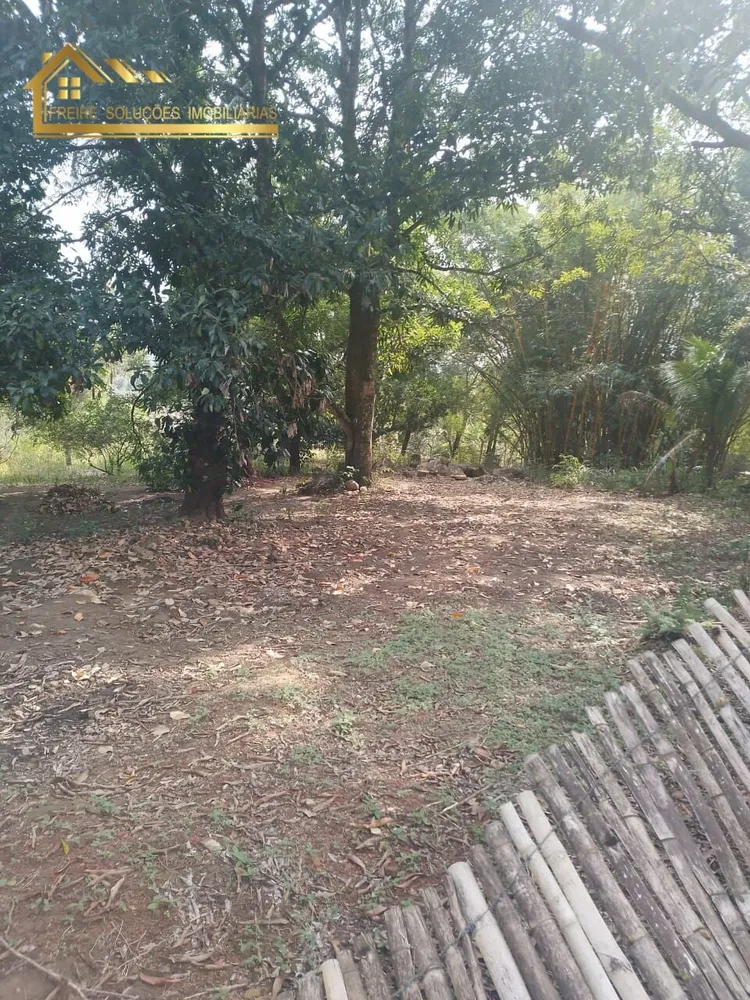 Terreno, 5000 m² - Foto 4