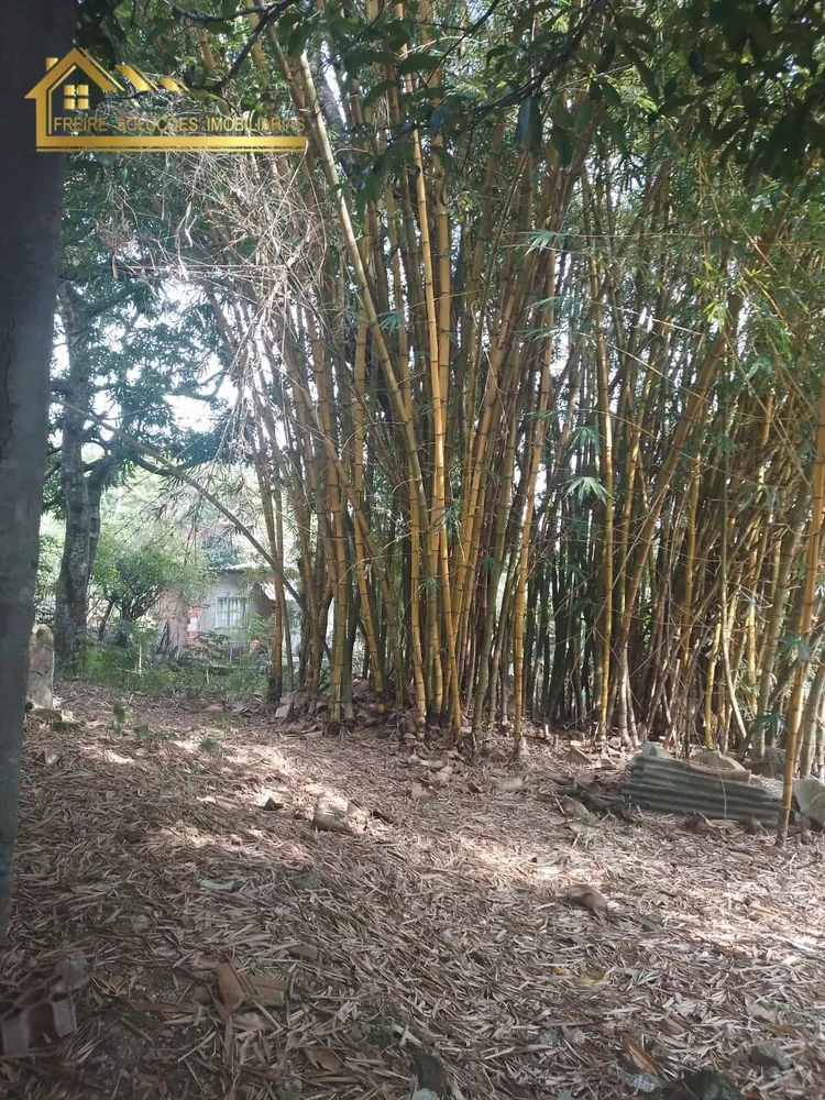 Terreno, 5000 m² - Foto 4