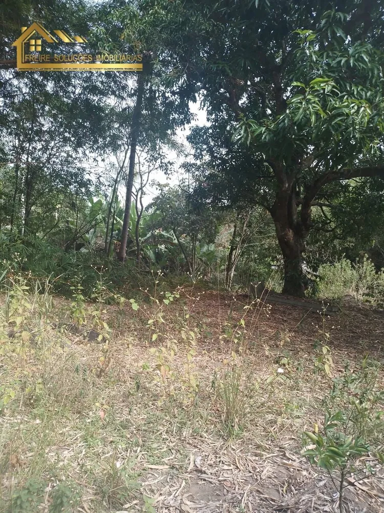 Terreno, 5000 m² - Foto 10