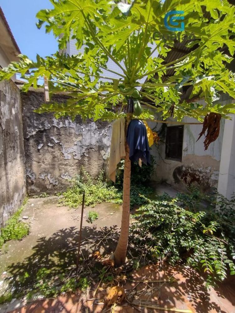 Casa, 2 quartos, 80 m² - Foto 3