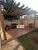 Apartamento, 2 quartos, 46 m² - Foto 11