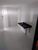 Apartamento, 2 quartos, 61 m² - Foto 11