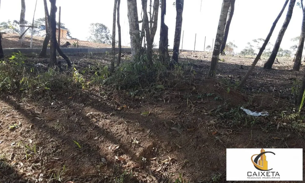Terreno, 2102 m² - Foto 8