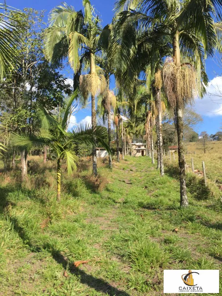 Terreno, 4 hectares - Foto 2