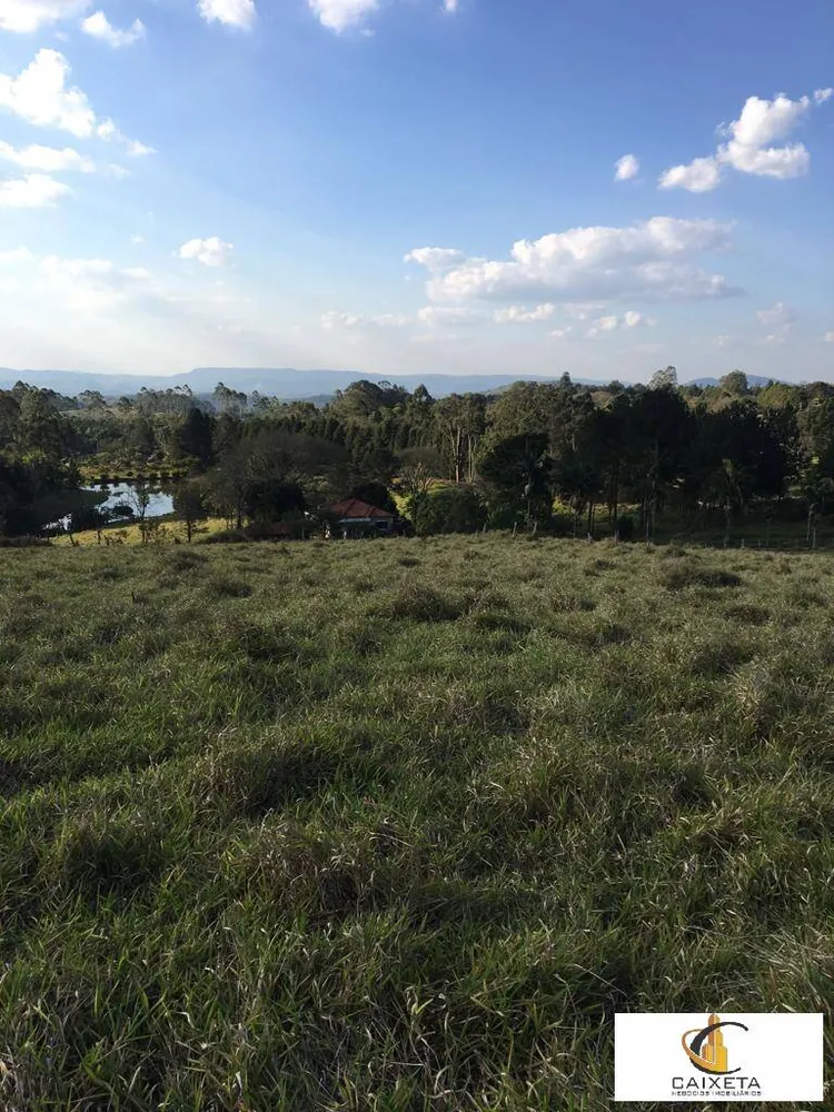 Terreno, 4 hectares - Foto 3