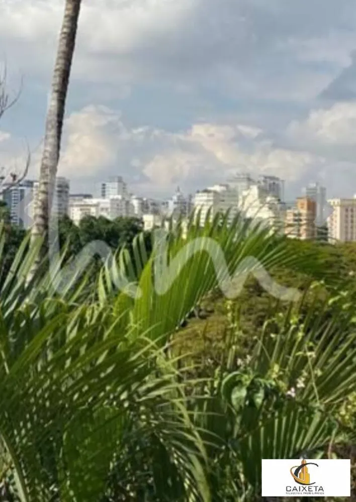 Casa, 4 quartos, 380 m² - Foto 14