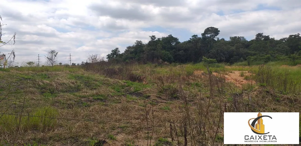 Terreno, 3 hectares - Foto 2