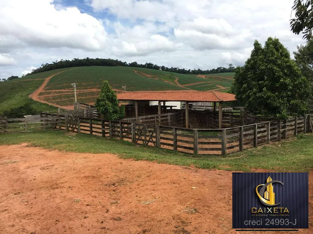 Fazenda, 180 hectares - Foto 8
