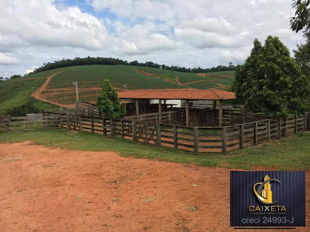 Fazenda, 180 hectares - Foto 7