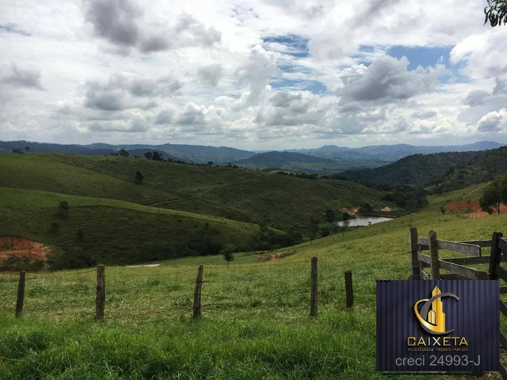 Fazenda, 180 hectares - Foto 6
