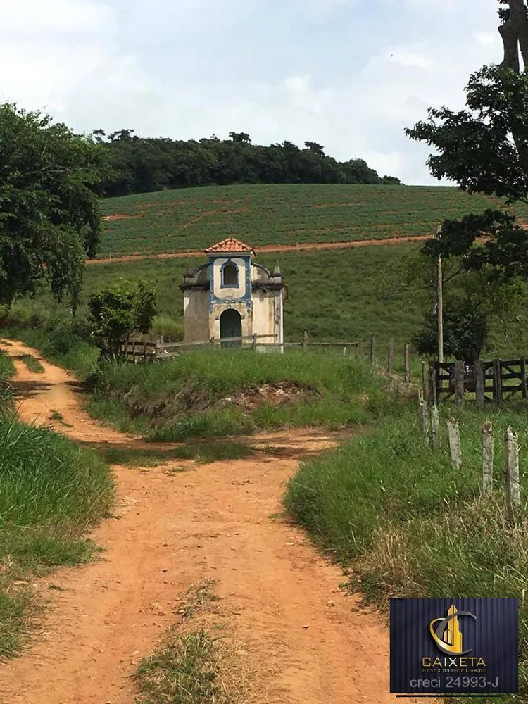 Fazenda, 180 hectares - Foto 9