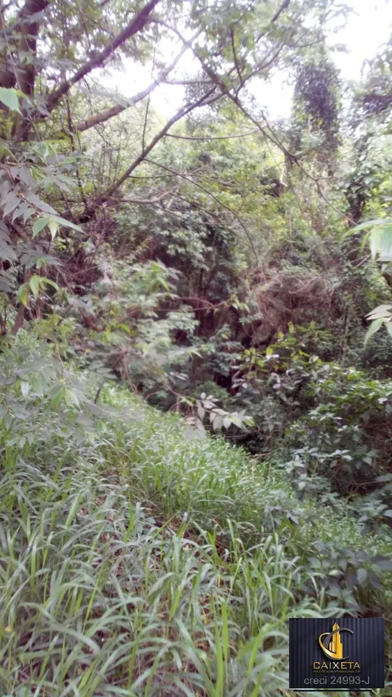 Terreno, 2686 m² - Foto 6