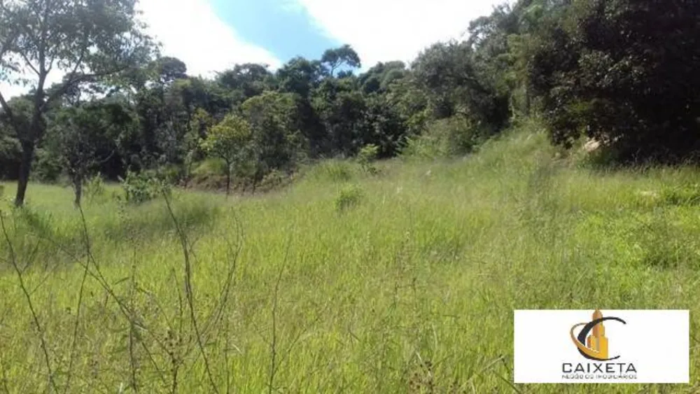 Terreno, 2 hectares - Foto 15