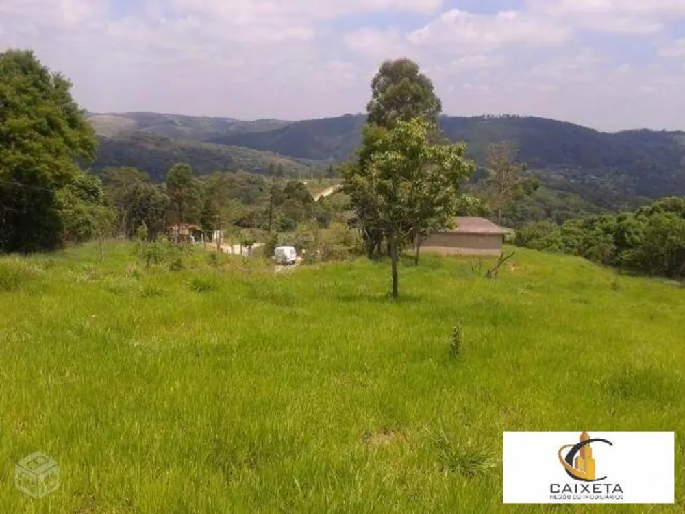 Terreno, 2 hectares - Foto 14