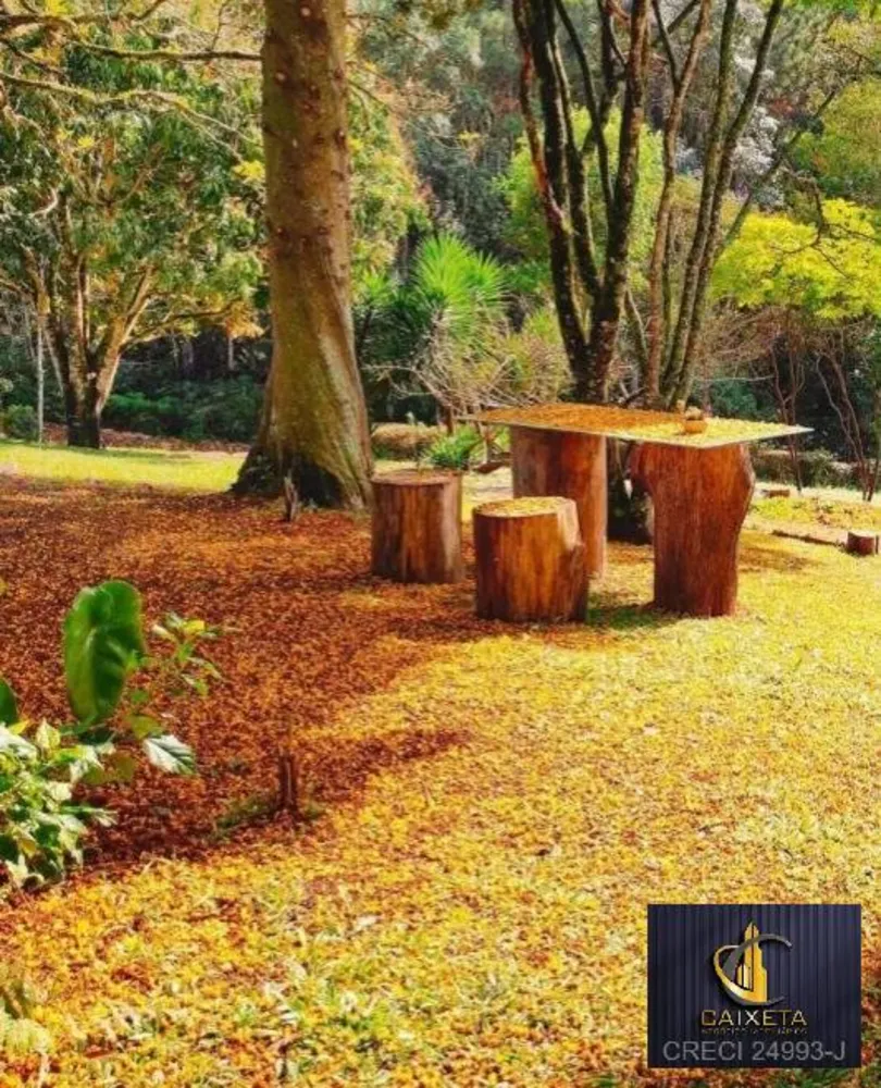 Sítio, 10 quartos, 10 hectares - Foto 6