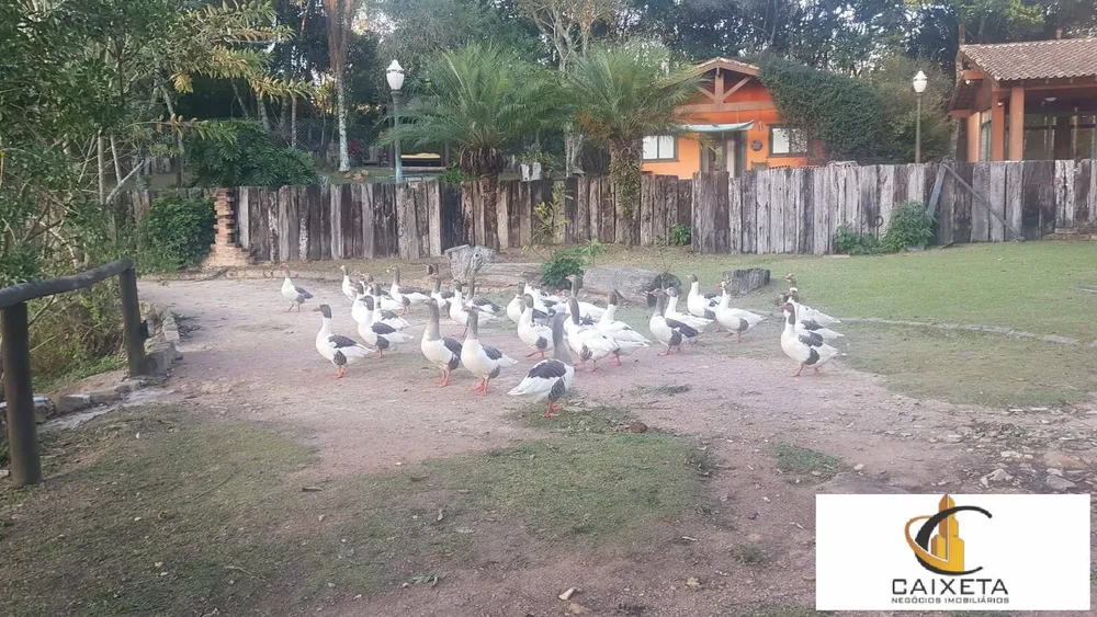 Chácara, 2 quartos, 1000 m² - Foto 11