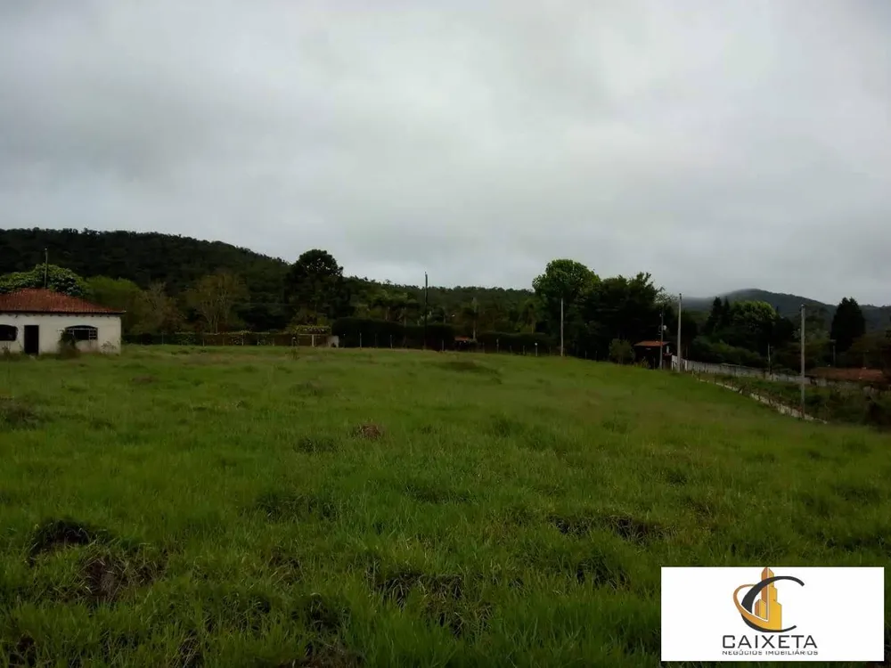 Sítio, 5 quartos, 3 hectares - Foto 8