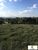 Terreno, 4 hectares - Foto 3