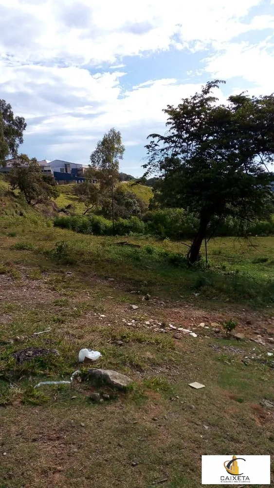 Depósito-Galpão - Foto 3
