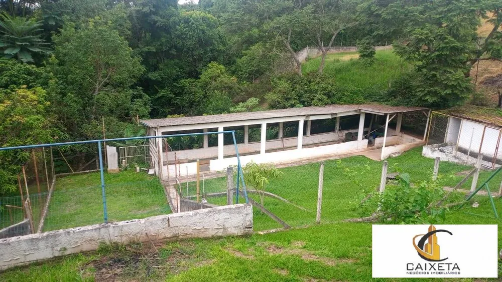Chácara, 3 quartos, 4200 m² - Foto 6