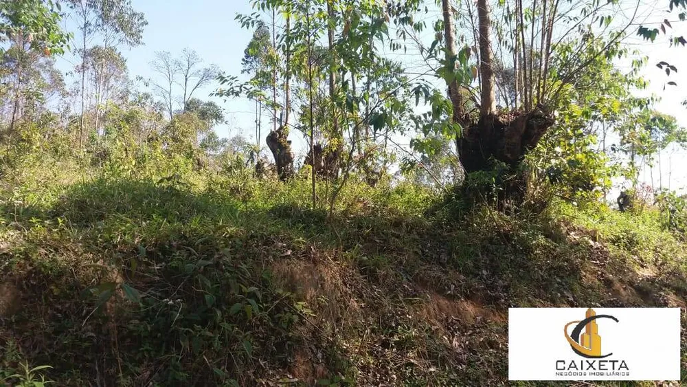 Terreno, 11 hectares - Foto 10