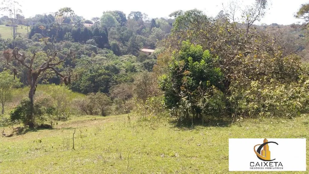 Terreno, 11 hectares - Foto 13
