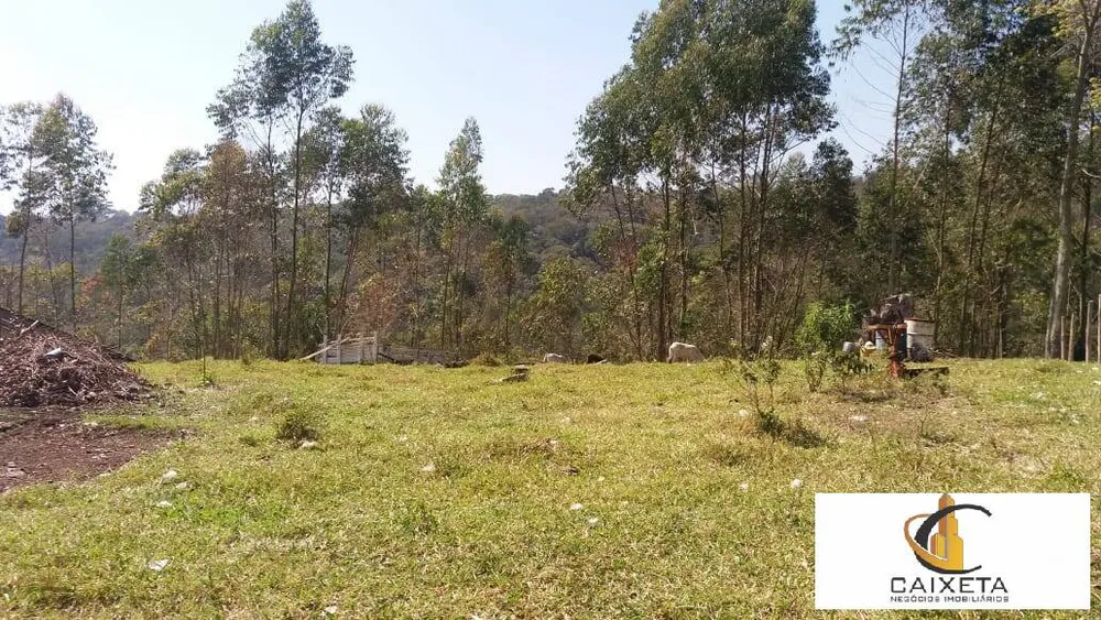 Terreno, 11 hectares - Foto 12