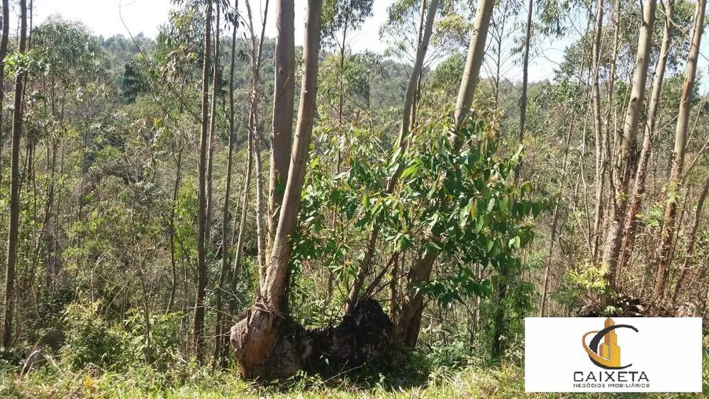 Terreno, 11 hectares - Foto 14