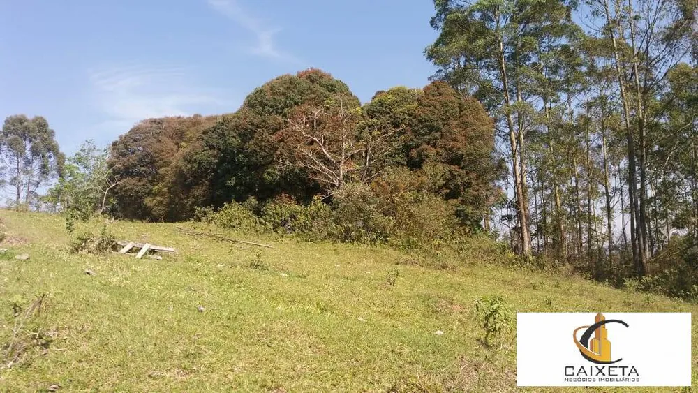 Terreno, 11 hectares - Foto 15