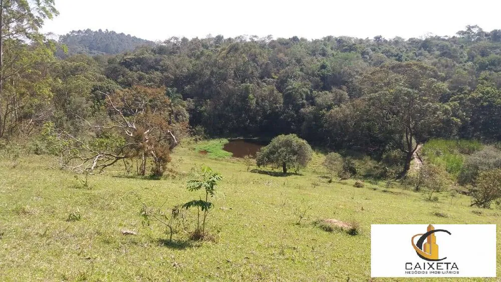 Terreno, 11 hectares - Foto 7