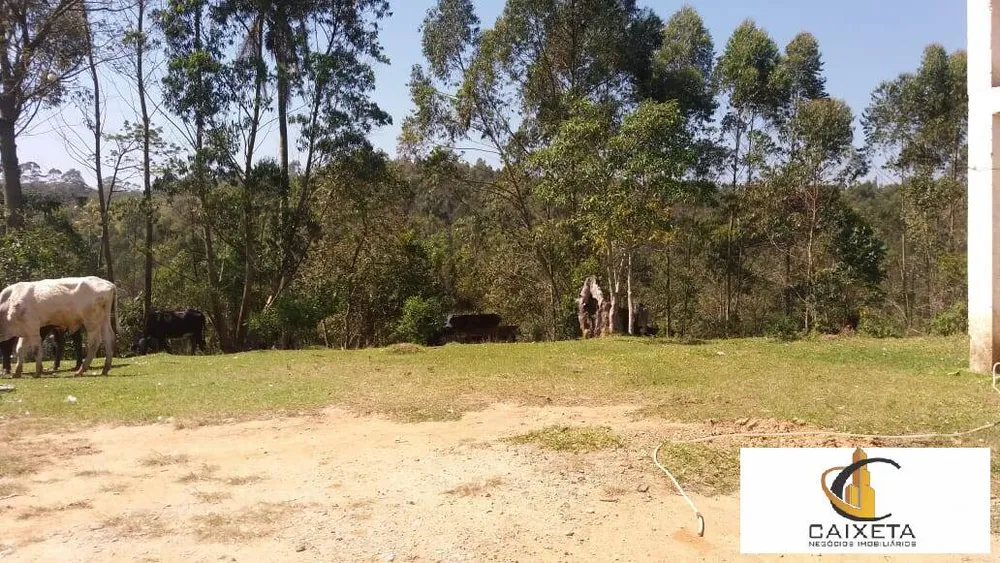 Terreno, 11 hectares - Foto 8