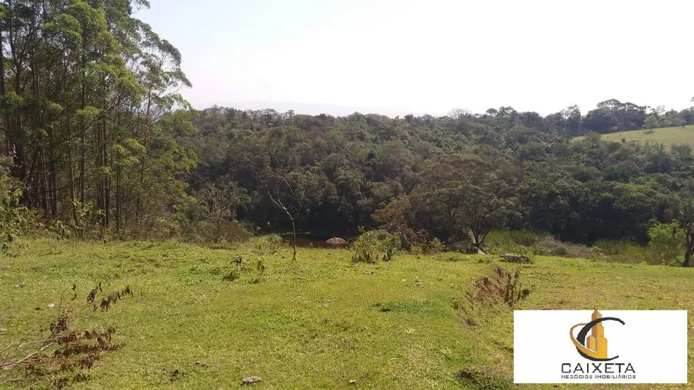 Terreno, 11 hectares - Foto 6