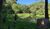 Fazenda, 10 hectares - Foto 3